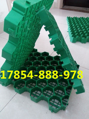 歡迎光臨、南京停車位植草格))股份丨歡迎您_南京植草格,南京停車位植草格,南京植草格公司,植草格,停車位植草格_供應信息_中國安防展覽網(wǎng)